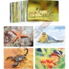 Fotografie - poznáváme zvířátka 